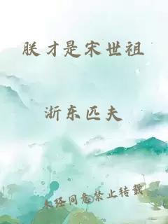 朕才是宋世祖